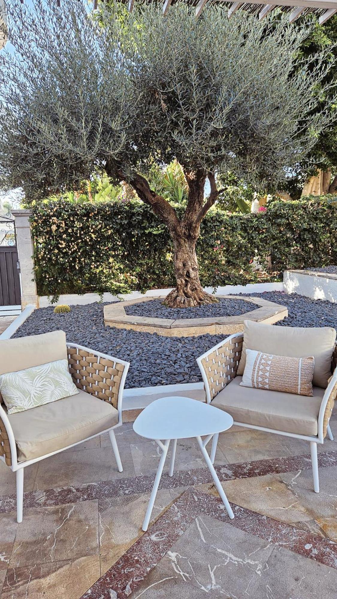 Sentido Fido Tucan - Adults Only 4* Cala d'Or (Mallorca)